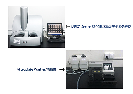 pp电子电化学发光免疫分析仪和全自动洗板机