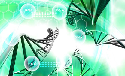 分子生物学实验技术