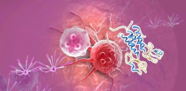 【盘点】高选择性mTOR抑制剂的研究进程_pp电子生物医药