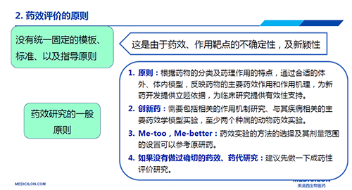 药效评价的原则