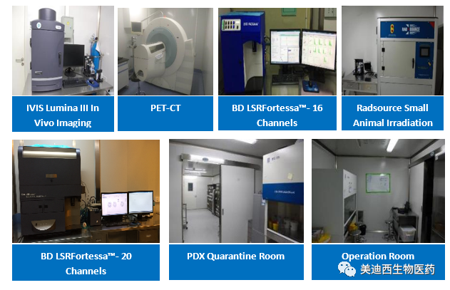 pp电子药理部拥有IVIS Lumina III, PET-CT, BD LSRFortessa-16, Flow Cytometry等仪器，提供符合申报，支持临床试验的药效评价服务。