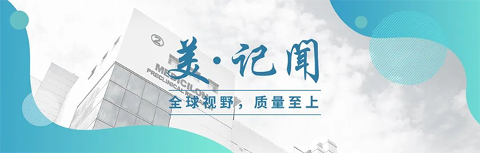 海宁市副市长杨文华一行调研pp电子