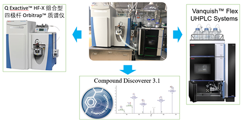 pp电子UHPLC-UV-QE HF-X系统