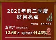 pp电子发布2020第三季度财报！