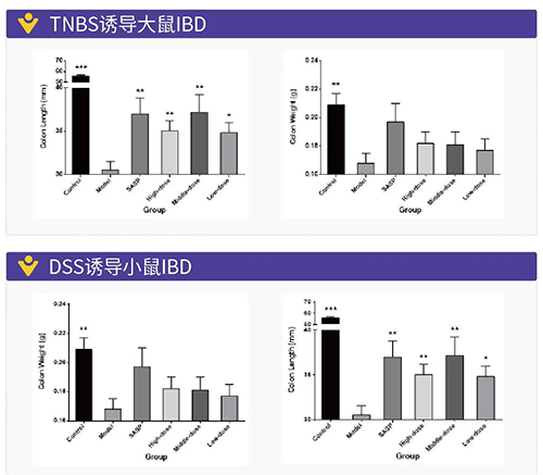 TNBS诱导的大鼠IBD、DSS诱导的大鼠IBD