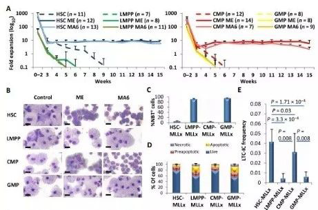 Science子刊：一种FDA批准的抗腹泻药物可有效对抗化疗的耐药性 pp电子生物医药