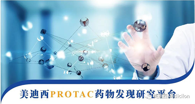 pp电子PROTAC药物发现研究平台