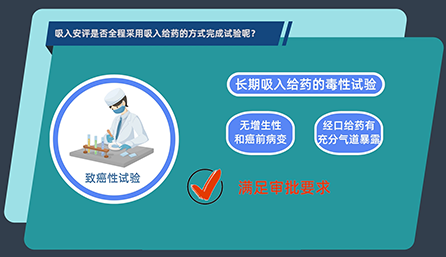 吸入安评是否全程采用吸入给药的方式完成试验呢？