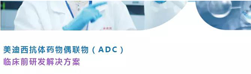 pp电子抗体药物偶联物（ADC）临床前研发解决方案.png