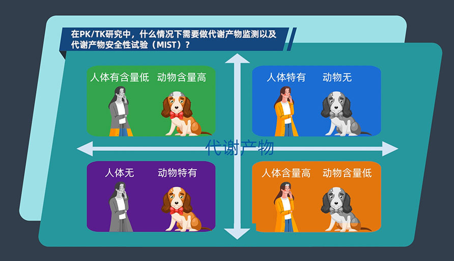 在PK-TK研究中，什么情况下需要做代谢产物监测以及代谢产物安全性试验（MIST）