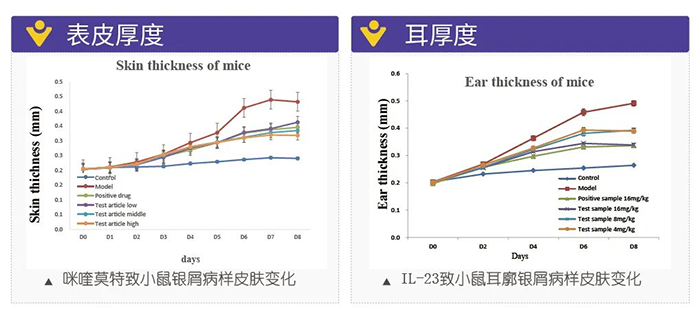 pp电子模拟银屑病的建模模型-试验结果的指标.png