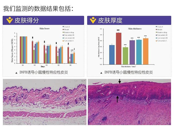 pp电子监测的数据结果.png