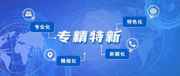 pp电子普亚荣获2021年度上海市“专精特新”企业认定.jpg