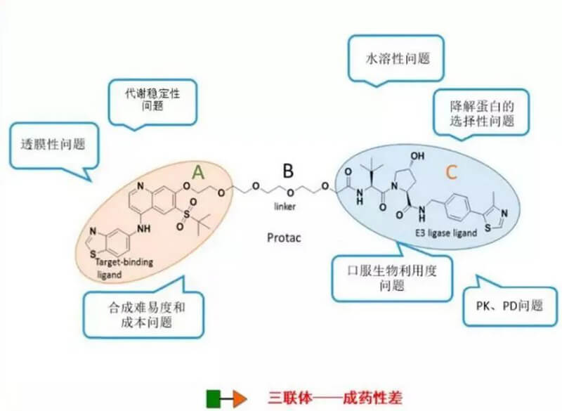 PROTAC分子量较大，溶解性较差.jpg