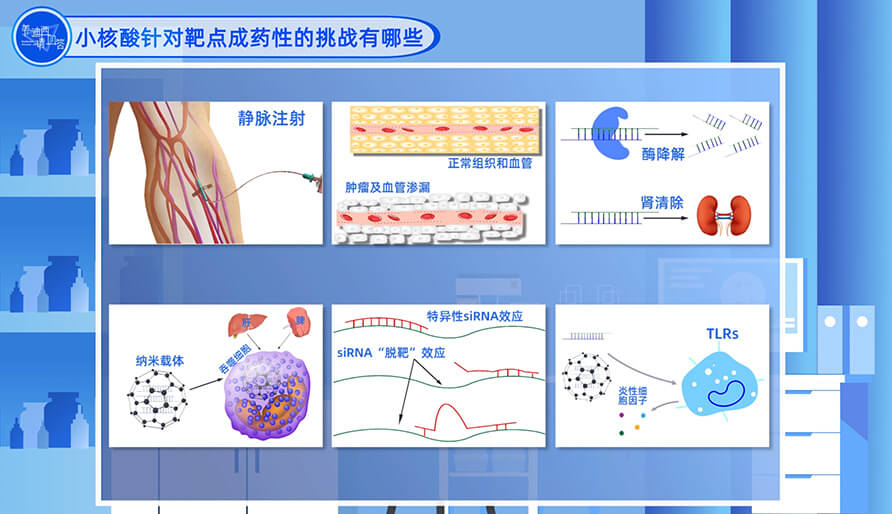 小核酸针对靶点成药性的挑战有哪些？