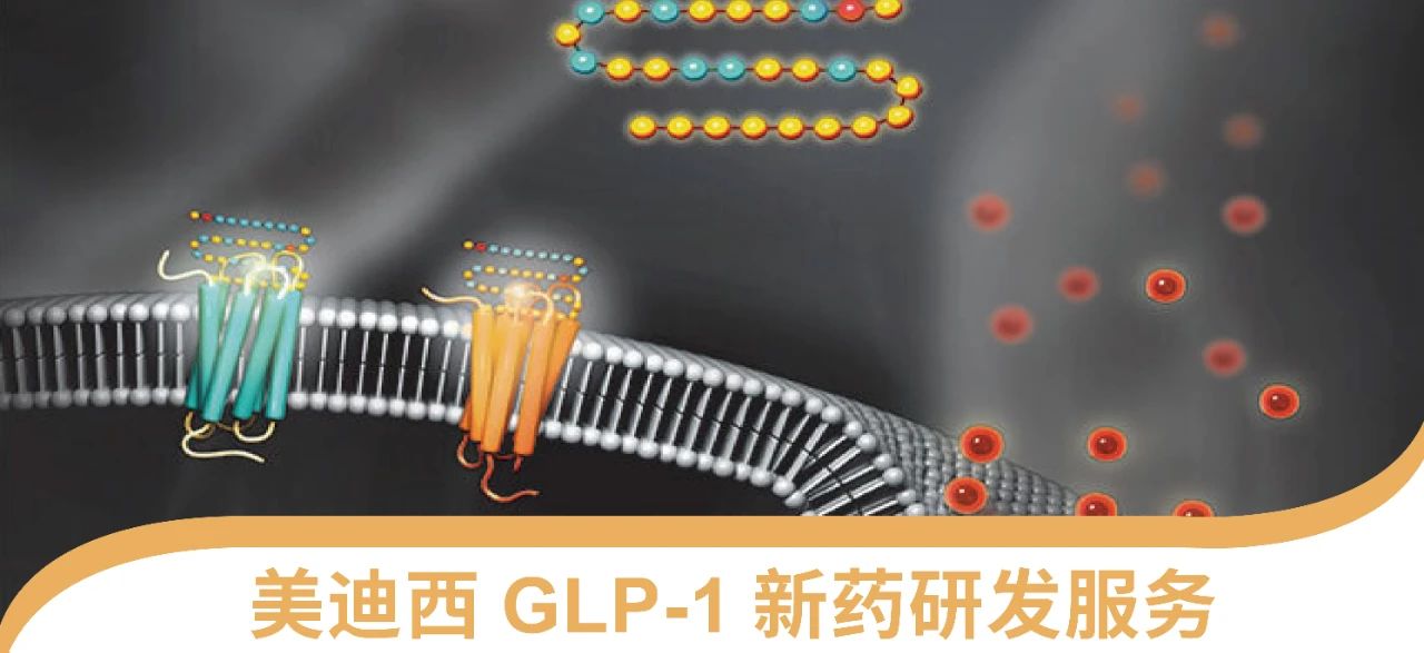 pp电子一站式 丨 “GLP-1”新药研发服务能力介绍