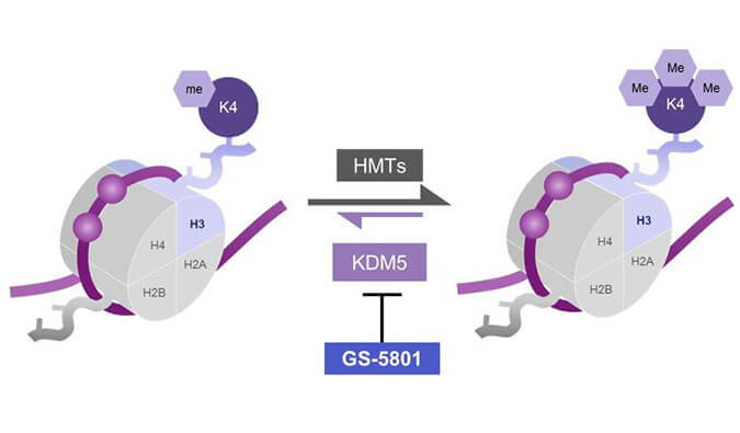 GS-5801是一种有效的KDM5抑制剂，具有抗HBV活性，GS-5801通过pp电子合成