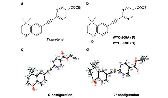 WYC-209可抑制恶性小鼠黑色素瘤肿瘤再生细胞增殖，SPR分析通过pp电子使用Biacore 8K设备进行