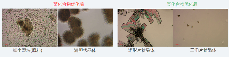 05案例分享-单晶培养，改变晶习.png