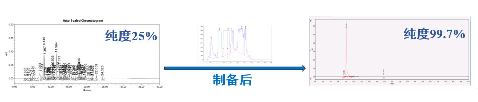 案例一：仿制药发补：大极性杂质制备.jpg