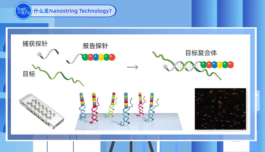 什么是Nanostring 技术？