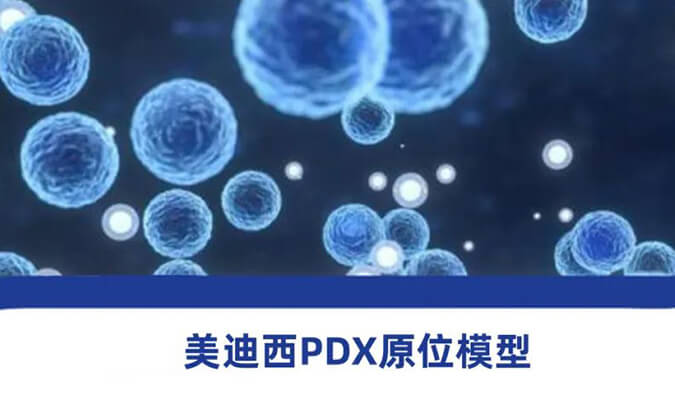 pp电子118种PDX原位模型，助力肿瘤药物研发